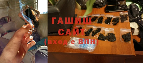 гашик Снежногорск