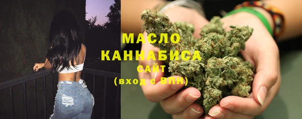 гашик Снежногорск