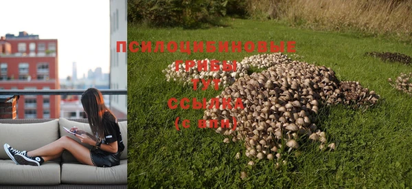 кокаин премиум Слюдянка