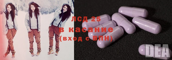 гашик Снежногорск