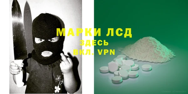 гашик Снежногорск