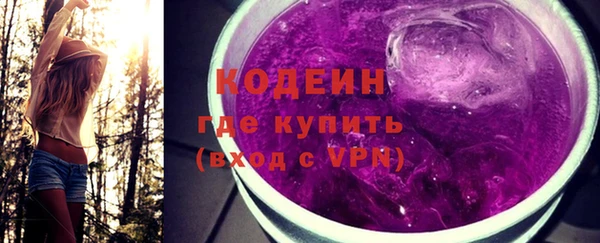 гашик Снежногорск