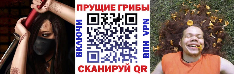 Купить где  Семикаракорск  Псилоцибиновые грибы Psilocybe 